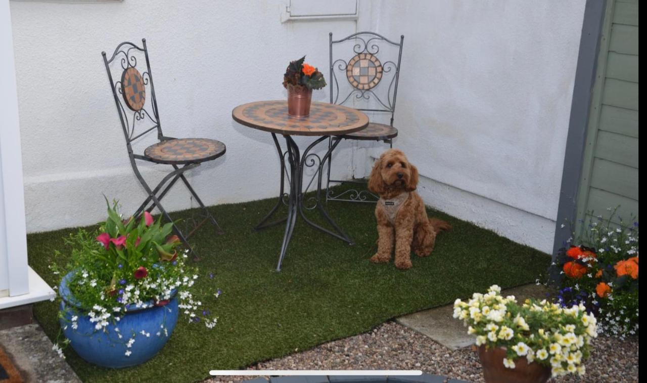 2 Bedroom Pet Friendly Cottage Evesham Exteriör bild